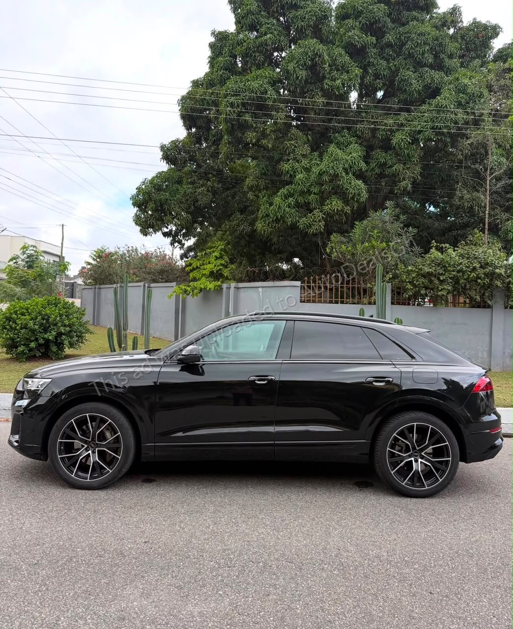 2024 Audi Q8